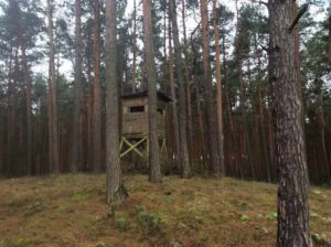 Kapitalanlage Eigenjagd Brandenburg Evers Landmakler