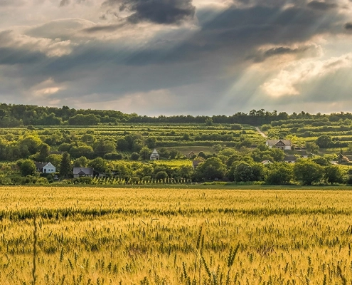evers landmakler agrarmakler agrarimmobilien ackerland forstimmobilien headerbanner startseite v1