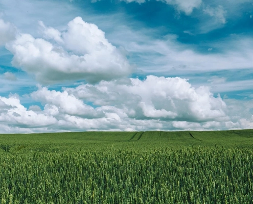 evers landmakler agrarmakler agrarimmobilien ackerland forstimmobilien headerbanner startseite v2
