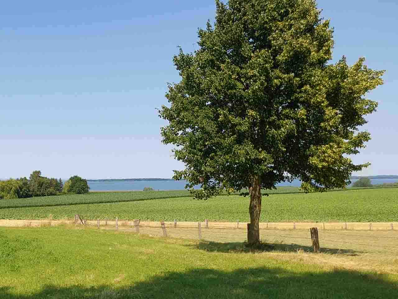 Objekt 5365 am Salzhaff Foto Evers Landmakler Dr. Neufeldt
