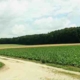Objekt 5367 Ackerland in Schwaben Landkreis Günzburg Evers Landmakler