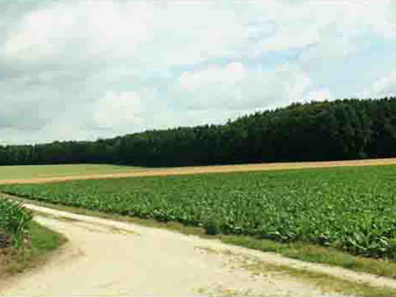 Objekt 5367 Ackerland in Schwaben Landkreis Günzburg Evers Landmakler