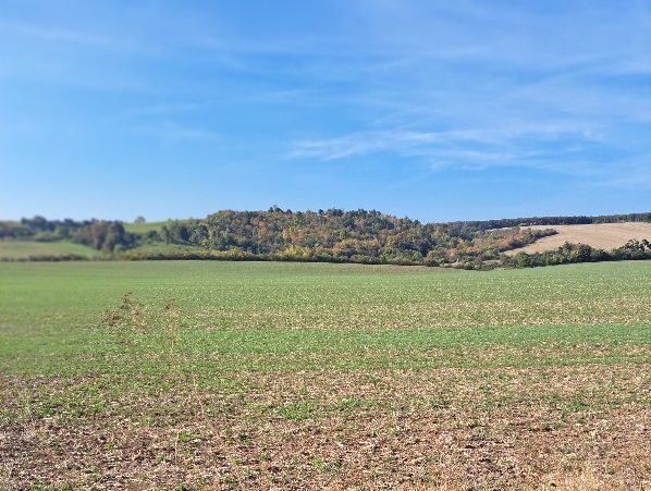 Objekt 5412 Landkreis Mansfeld-Südharz