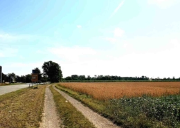 1,123 ha Ackerfläche im Landkreis Fürstenfeldbruck, Oberbayern