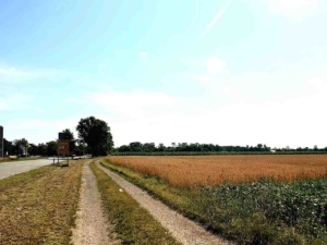 1,123 ha Ackerfläche im Landkreis Fürstenfeldbruck, Oberbayern