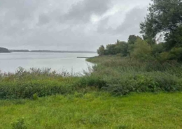 Forst und Hochwildjagd in der Sächsischen Oberlausitz