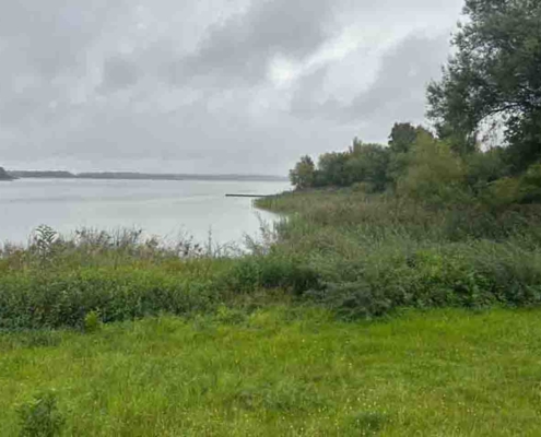 Forst und Hochwildjagd in der Sächsischen Oberlausitz