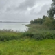 Forst und Hochwildjagd in der Sächsischen Oberlausitz