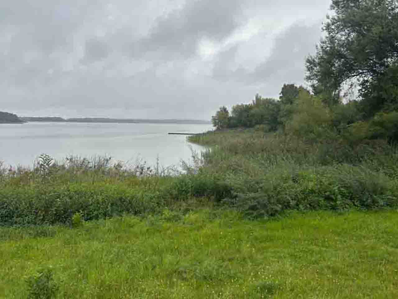 Forst und Hochwildjagd in der Sächsischen Oberlausitz
